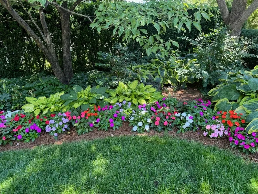 Order Landscape Design Our Landscape Design Services